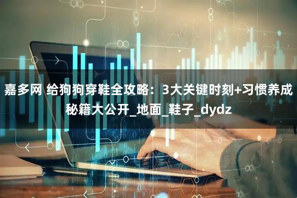 嘉多网 给狗狗穿鞋全攻略：3大关键时刻+习惯养成秘籍大公开_地面_鞋子_dydz