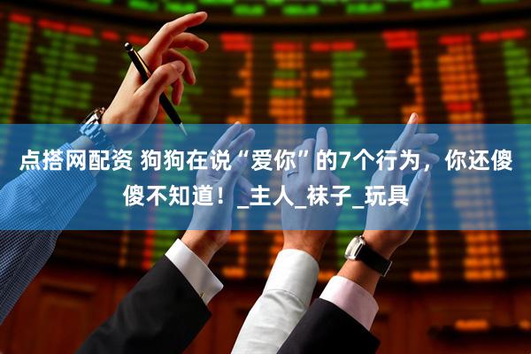 点搭网配资 狗狗在说“爱你”的7个行为，你还傻傻不知道！_主人_袜子_玩具