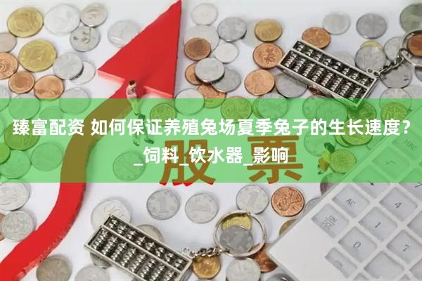 臻富配资 如何保证养殖兔场夏季兔子的生长速度？_饲料_饮水器_影响