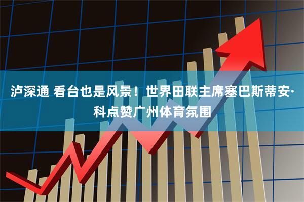 泸深通 看台也是风景！世界田联主席塞巴斯蒂安·科点赞广州体育氛围