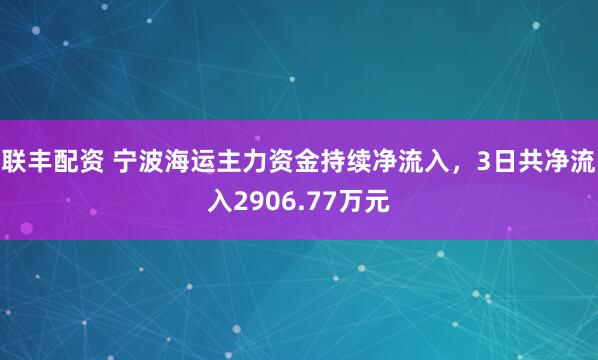 联丰配资 宁波海运主力资金持续净流入，3日共净流入2906.77万元
