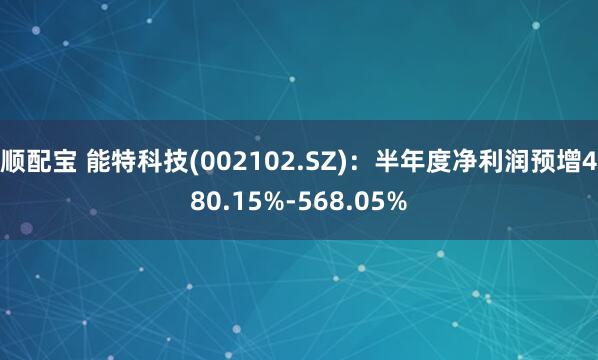顺配宝 能特科技(002102.SZ)：半年度净利润预增480.15%-568.05%