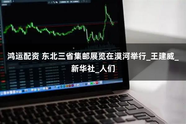 鸿运配资 东北三省集邮展览在漠河举行_王建威_新华社_人们