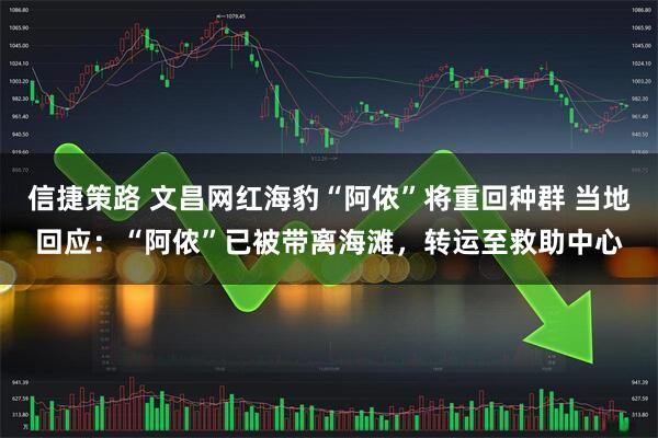 信捷策路 文昌网红海豹“阿侬”将重回种群 当地回应：“阿侬”已被带离海滩，转运至救助中心