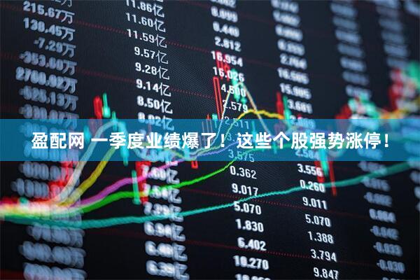 盈配网 一季度业绩爆了！这些个股强势涨停！
