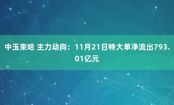 中玉束哈 主力动向：11月21日特大单净流出793.01亿元