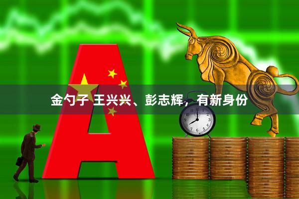 金勺子 王兴兴、彭志辉，有新身份