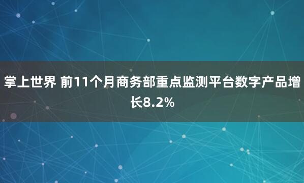 掌上世界 前11个月商务部重点监测平台数字产品增长8.2%