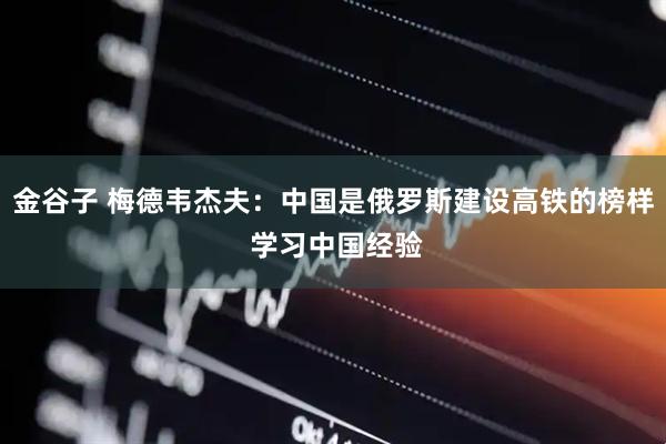 金谷子 梅德韦杰夫：中国是俄罗斯建设高铁的榜样 学习中国经验