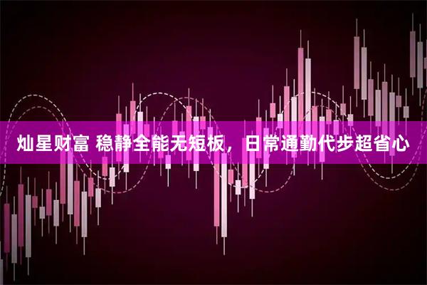 灿星财富 稳静全能无短板，日常通勤代步超省心